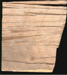 wood defect- crack