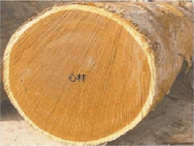 wood defect-heartwood